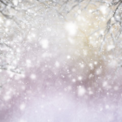 Obraz premium christmas background with fir tree and gleaming background