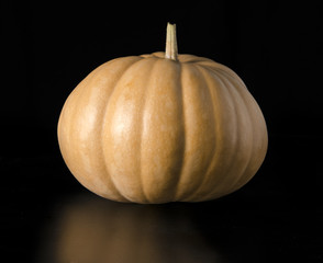 autumn pumpkin