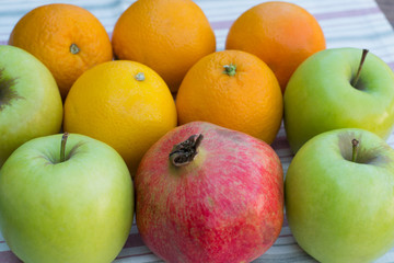 different fruits