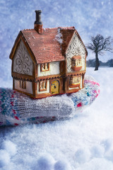 Winter Cottage In Gloved Hand
