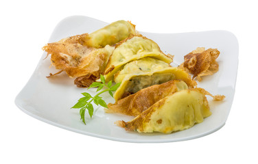 Japan dumplings - gyoza