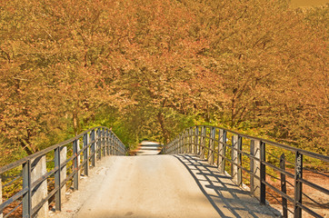 autumn colors and trees - Aristi's bridge Ioannina