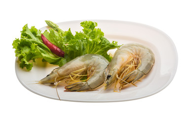 Tiger prawn