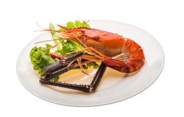 Giant Freshwater Prawn