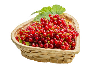 Red currant
