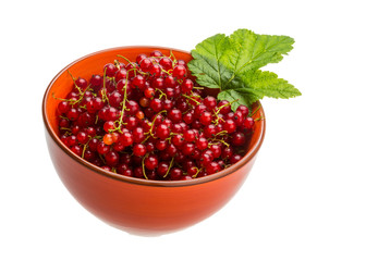 Red currant