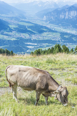 Fototapeta premium Patscherkofel peak near Innsbruck, Tyrol, Austria.