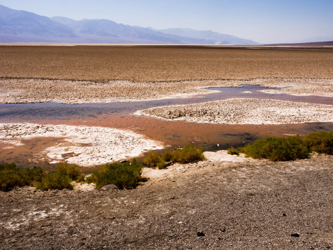 Small creek in Death Valley