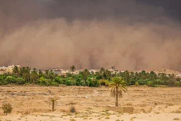 Fototapeten Sandstorm in Gafsa,Tunisia © Lukasz Janyst