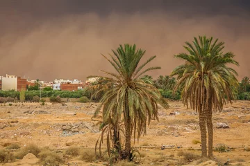 Papier Peint photo Tunisie Sandstorm in Gafsa,Tunisia