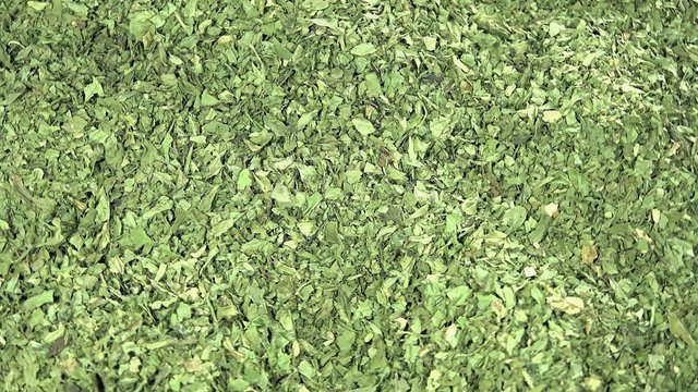 Dried Lovage background footage (loopable)