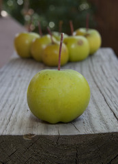 Crab apples