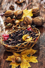 forest,autumn harvest of various nuts