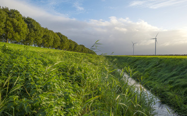 Ditch along a road through the countryside