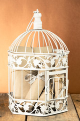 White decorative cage and bunch of rolled papers inside
