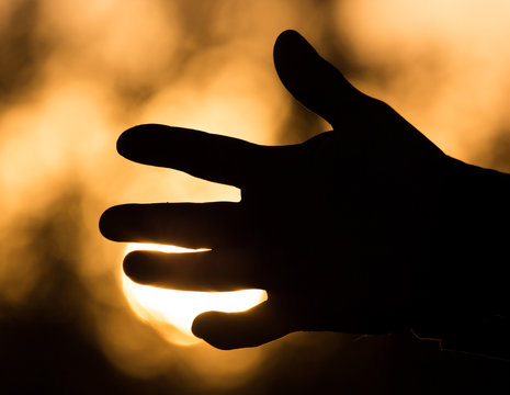hand on a background of a sunset