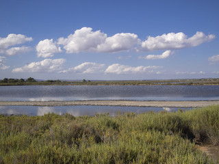 Salt lake in Majorca, Spain