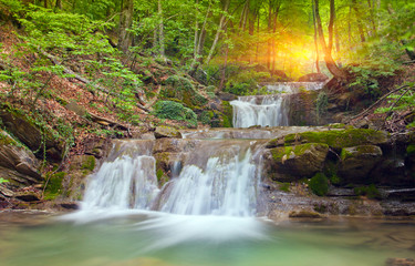 Waterfall in green forest