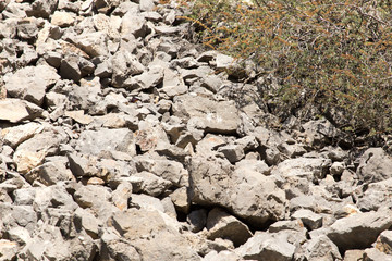background of stone cliff in the mountains