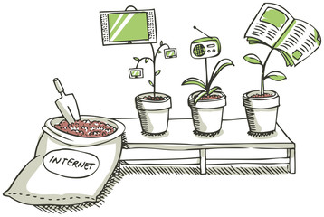 The media grow in internet