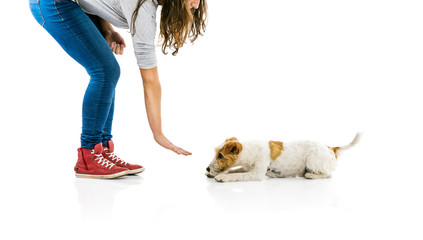 Woman training dog isolated