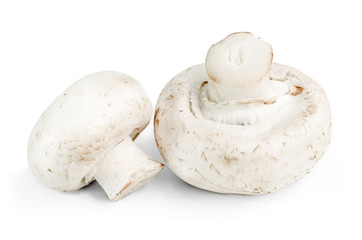Champignon mushroom isolated on white background