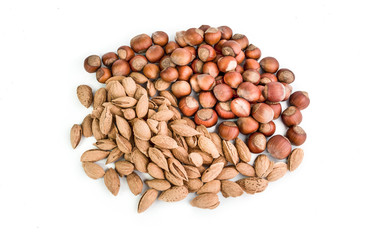 Nuts almonds and hazelnuts isolated on white background