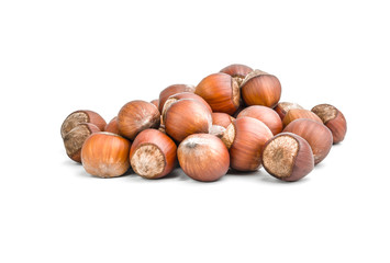Hazelnut. Collection of nuts isolated on white