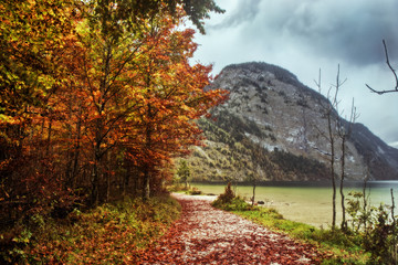 Fototapeta premium Lovely Autumn at the Sea of Kings