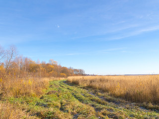 Fototapeta na wymiar road in field late autumn