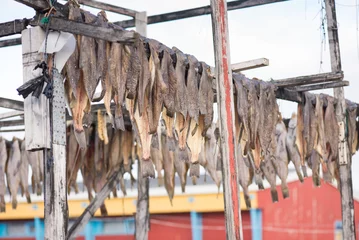 Photo sur Plexiglas Cercle polaire Greenland halibut drying on a wooden rack