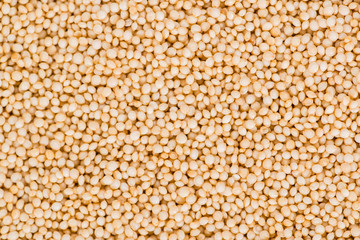 Amaranth (background image)