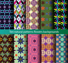 Ten patterns backgrounds seamless nature