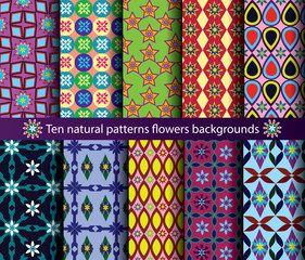 Ten patterns natural backgrounds seamless