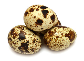 Quail eggs