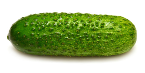 Ripe cucumber