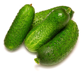 Cucumber