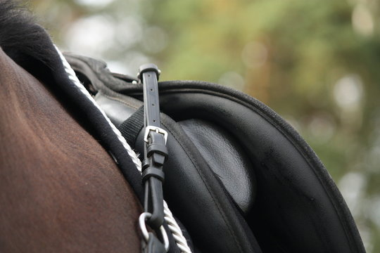 Black saddle on black horse