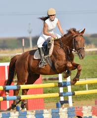 horse jumping
