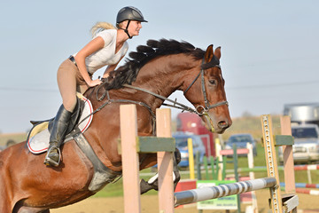 horse jumping