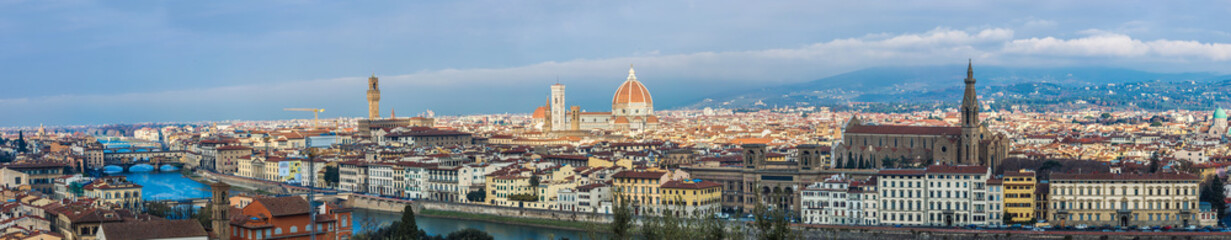 Fototapeta na wymiar A beautiful panorama of Florence, Tuscany, Italy.