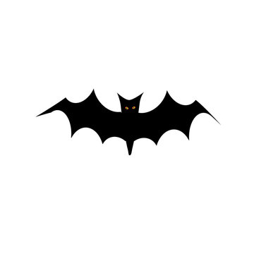 bat isolated