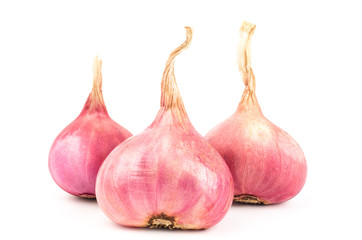 Fresh shallot