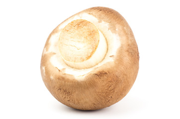 Fresh champignon mushroom