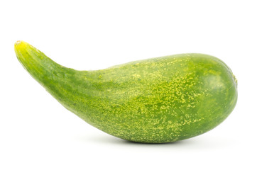 Organic cucumber