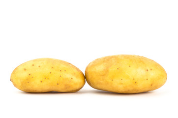 Potato