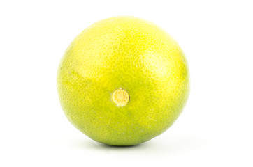 Lime