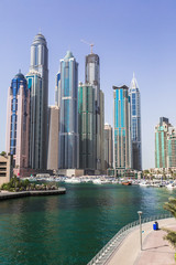 Fototapeta premium Dubai Marina cityscape, UAE