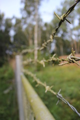 Old fence with barbed wire