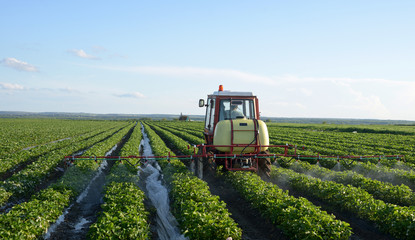 Tractor spraying strawberries